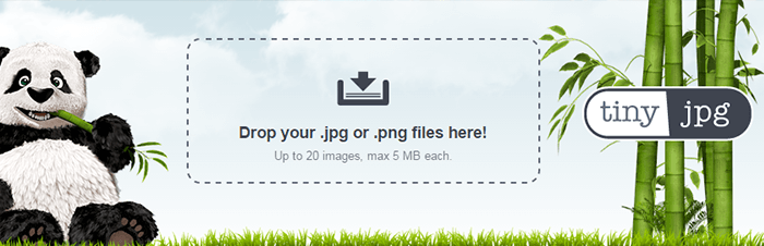 TinyJPG - изменить размер изображения без Photoshop и Co